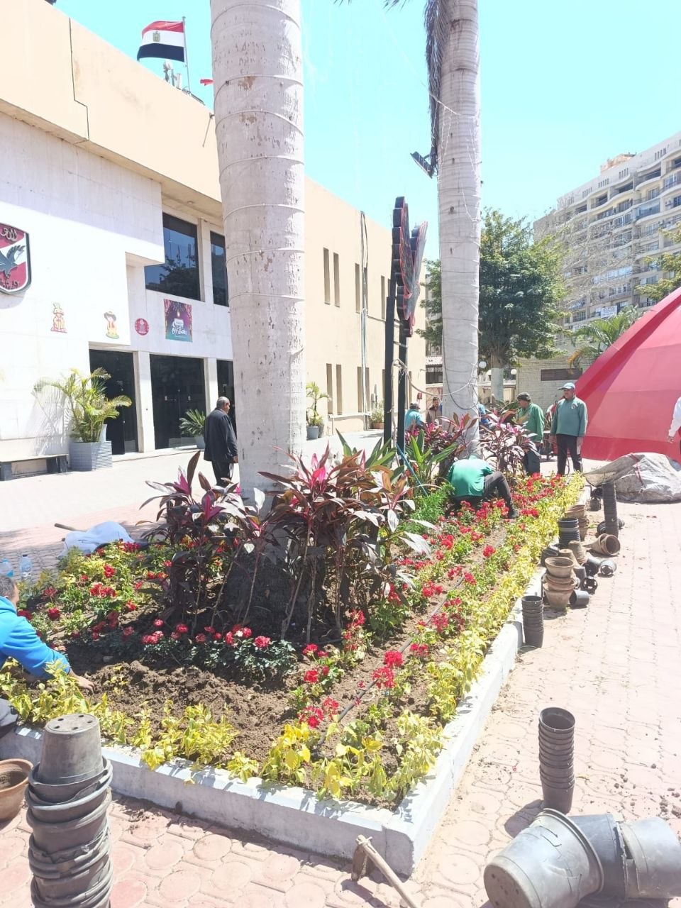 نباتات وأشجار